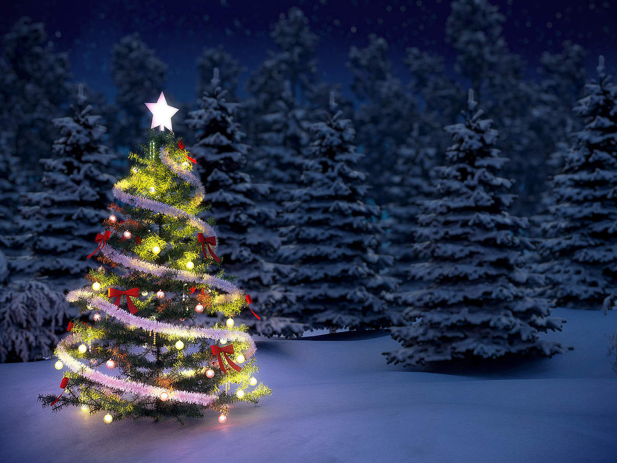 Weihnachtsbaum © ThinkstockPhotos