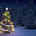 Weihnachtsbaum © ThinkstockPhotos