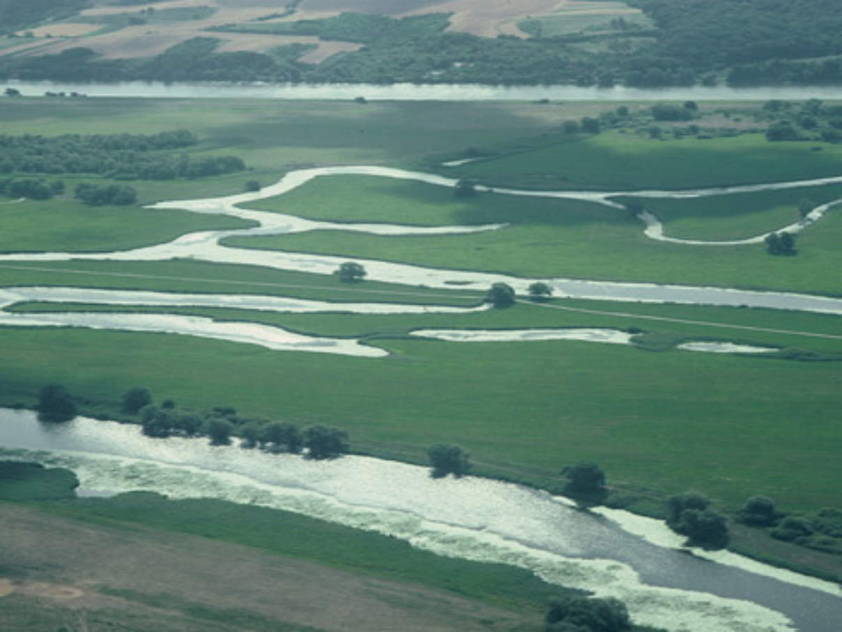 350 UEberschwemmungsgebiet an der Oder mit Feuchtgebieten Nationalpark Unteres Odertal c Hartmut Jungius WWF