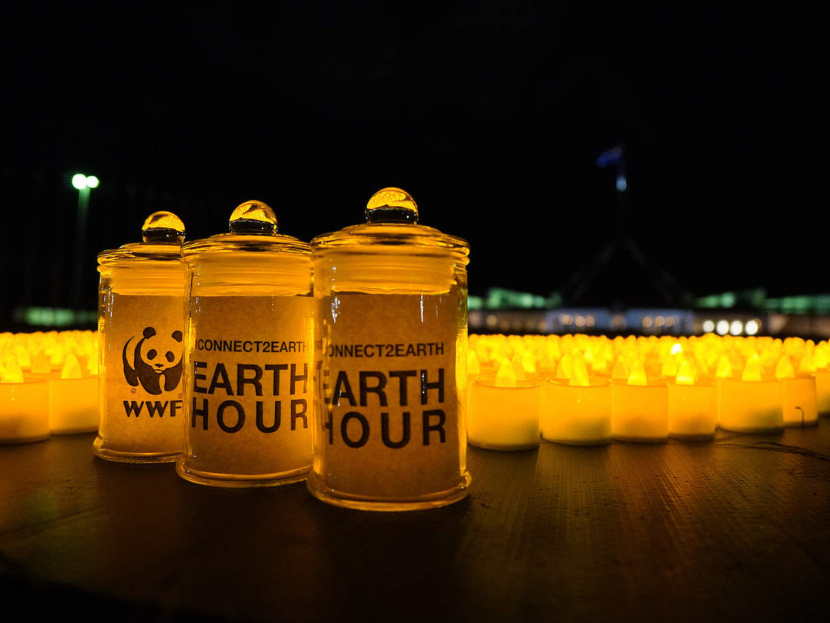 Earth Hour © Leonie Sii / WWF-Australia