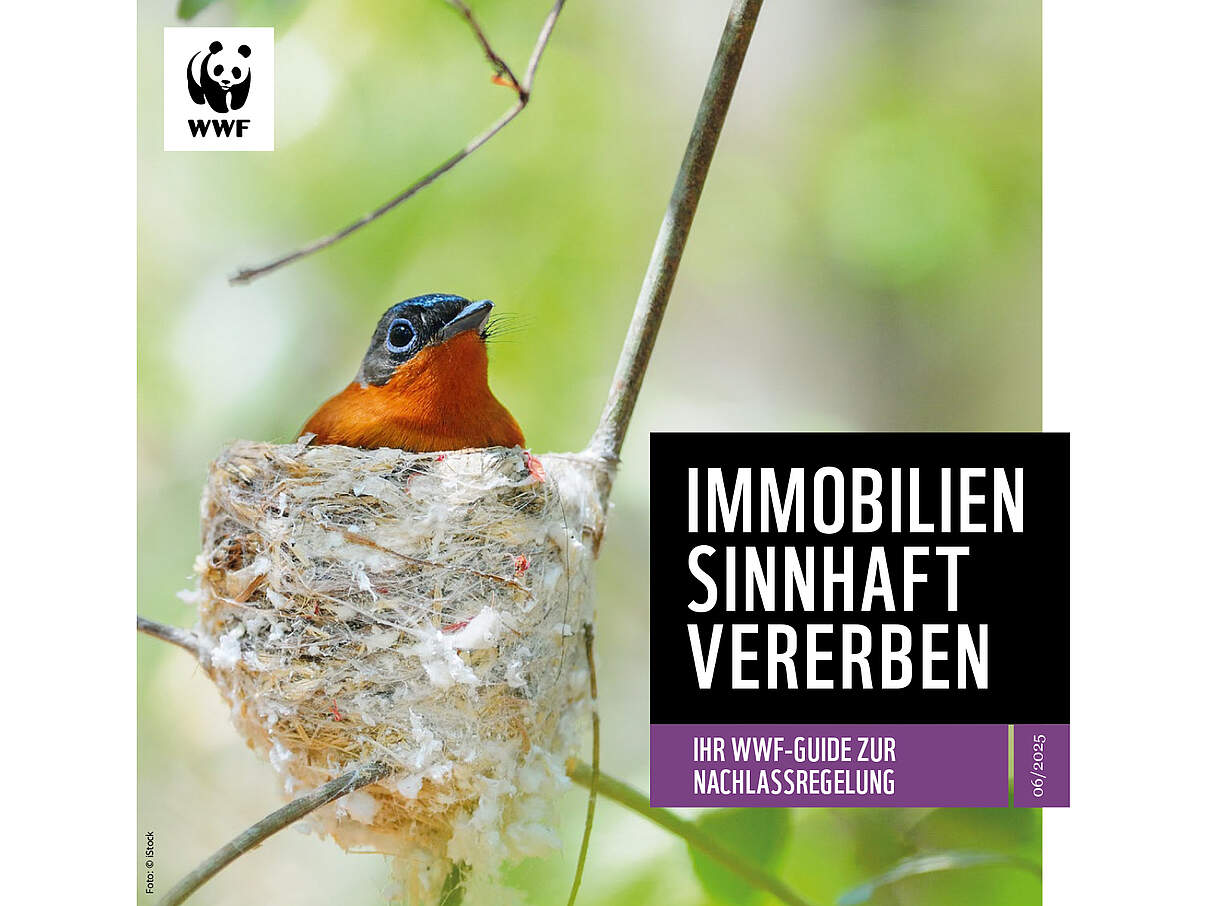 Cover des WWF Guide zum Vererben von Immobilien 