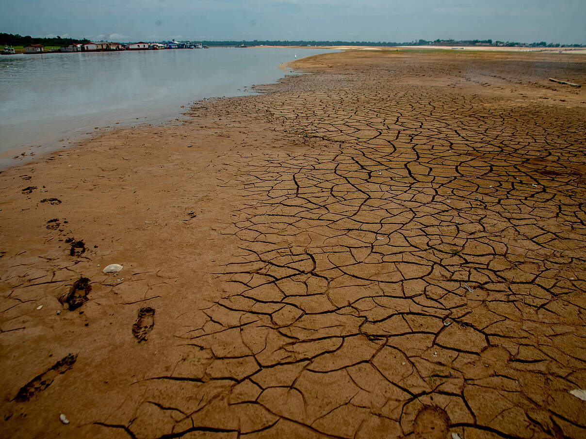 Trocken: Papacu-Bucht in der Regio Tefé © Jacqueline Lisboa / WWF Brazil