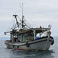 Trawler © Jürgen Freund / WWF