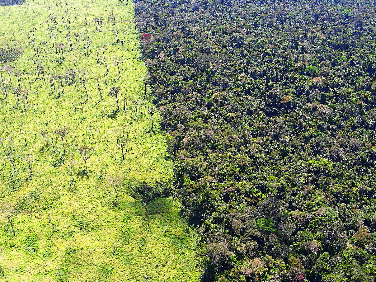 Blick auf den Juruena-Nationalpark in Brasilien © Claudio Maretti / WWF