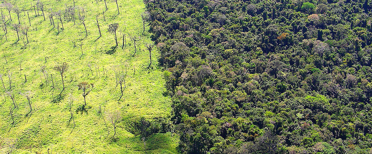 Blick auf den Juruena-Nationalpark in Brasilien © Claudio Maretti / WWF