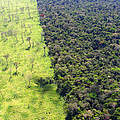 Blick auf den Juruena-Nationalpark in Brasilien © Claudio Maretti / WWF