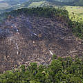 Brandrodung im Amazonas © Araquém Alcântara / WWF Brazil