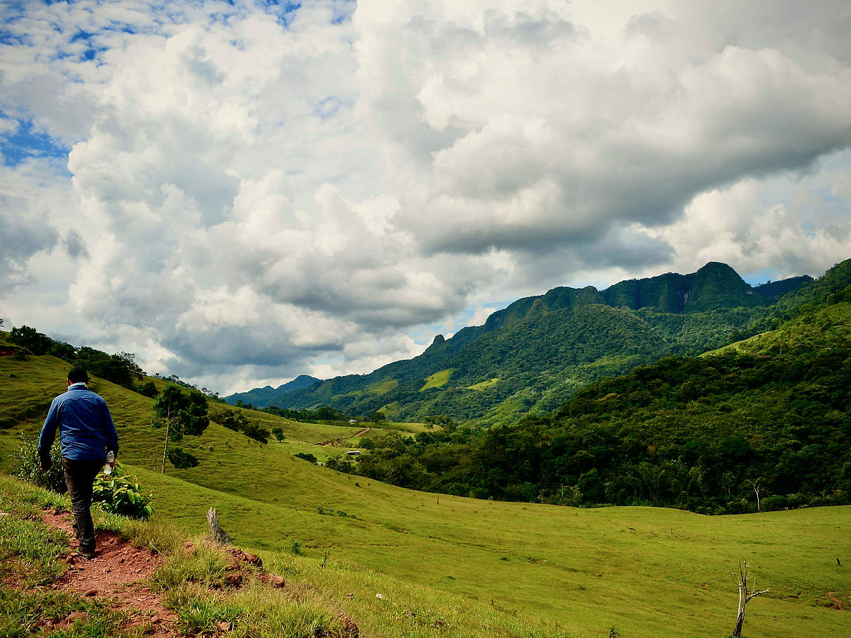 Naturpark Sierra de la Macarena © Laura Valencia / WWF Colombia 