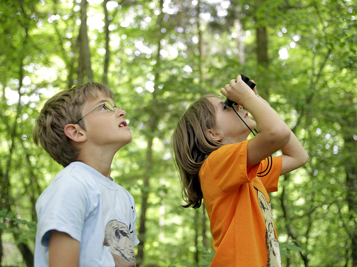 Junior-Ranger:innen im Nationalpark Hainich