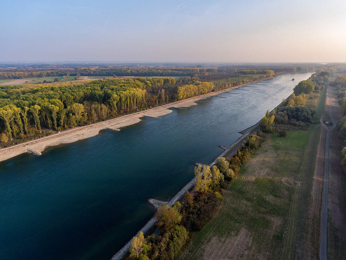 Begradigter Rhein bei Dürre 