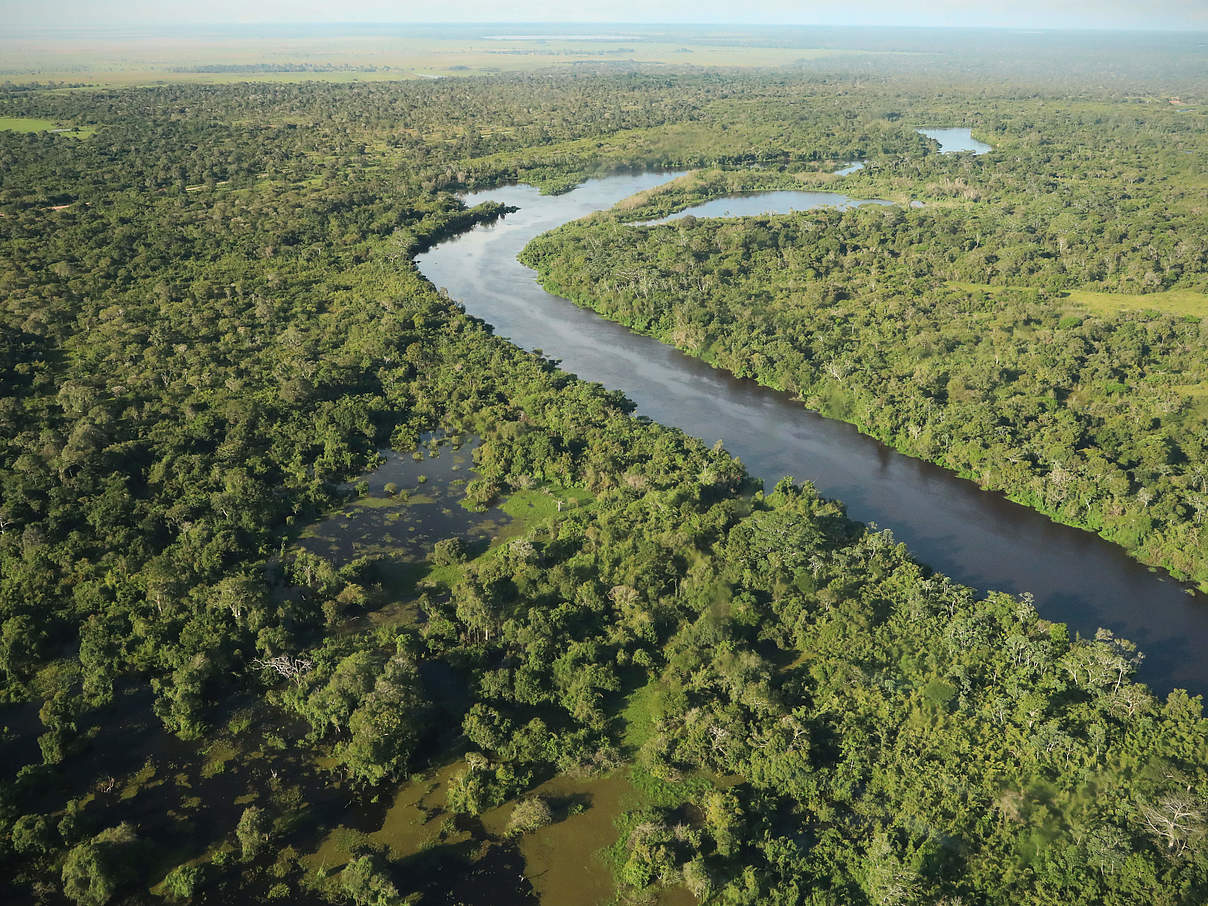 Sieben Millionen Hektar Regenwald gilt es zu erforschen. © Gesa Labahn / WWF Sieben Millionen Hektar Regenwald gilt es zu erforschen. © Gesa Labahn / WWF