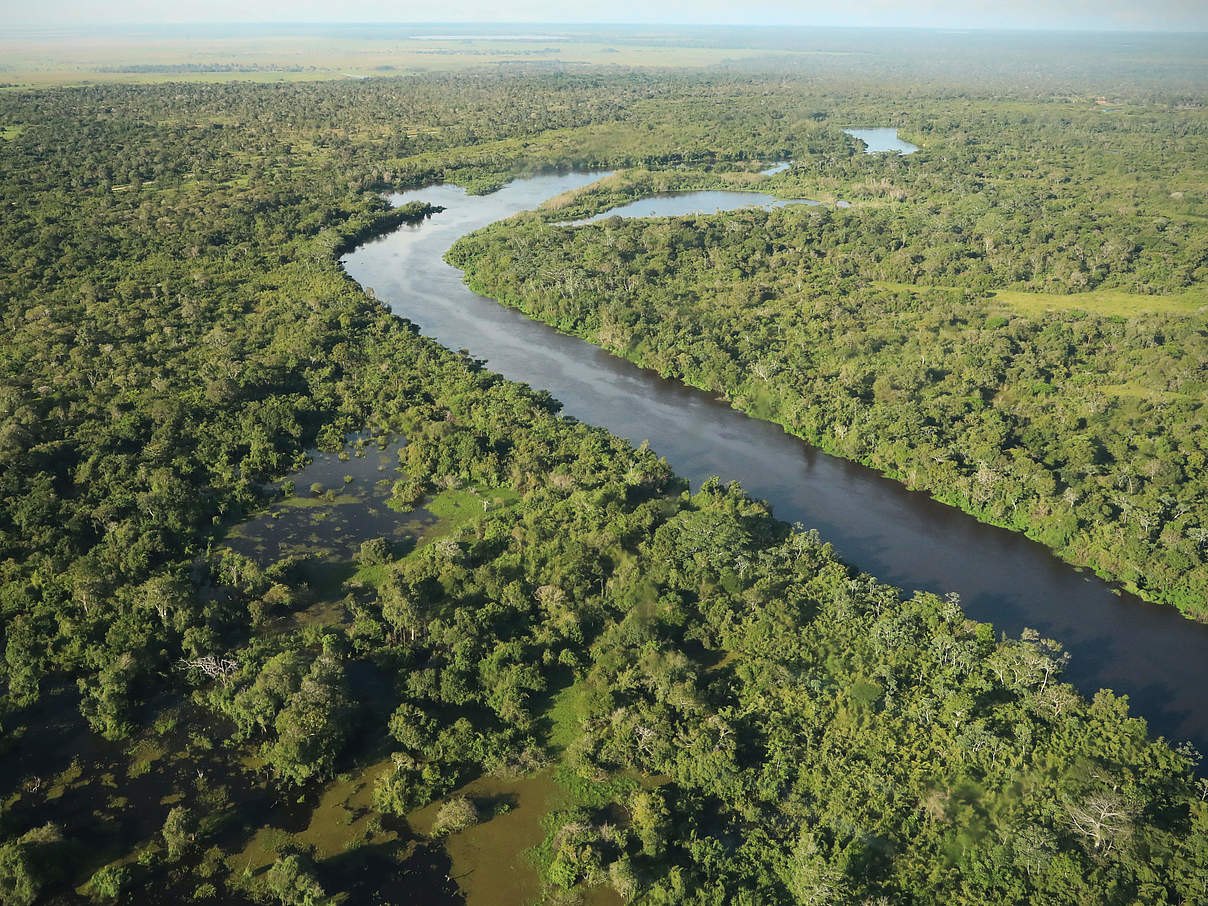 Sieben Millionen Hektar Regenwald gilt es zu erforschen. © Gesa Labahn / WWF