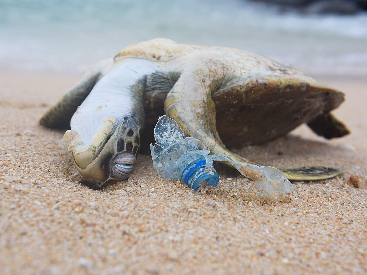 Maßnahmen gegen Plastikmüll: Was ist nötig und machbar?