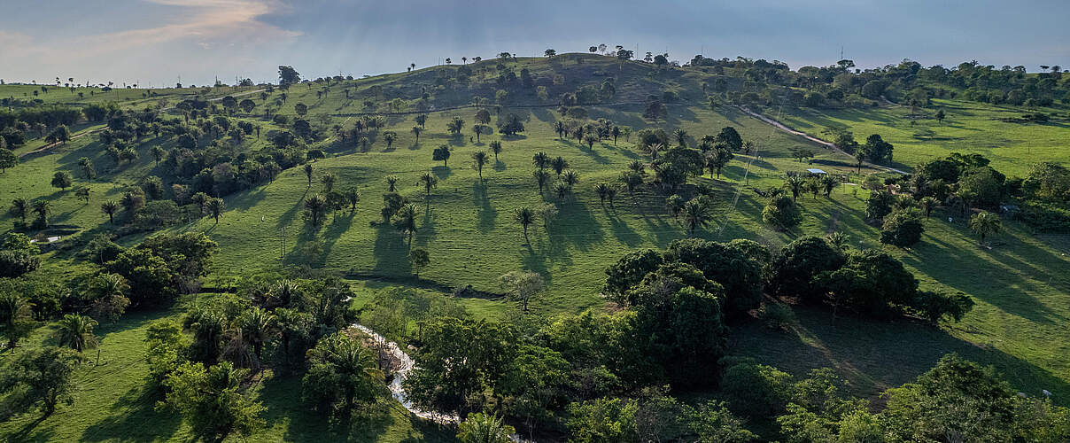 Hochebene im brasilianischen Cerrado 