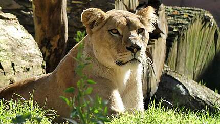 Spaß im WWF Camp © Marianne Laws