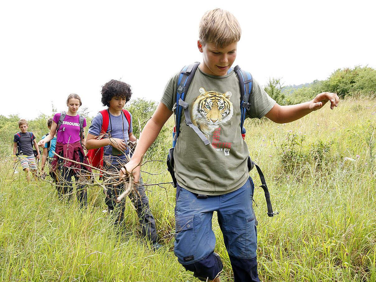 Nationalpark Hainich Camp 2019 