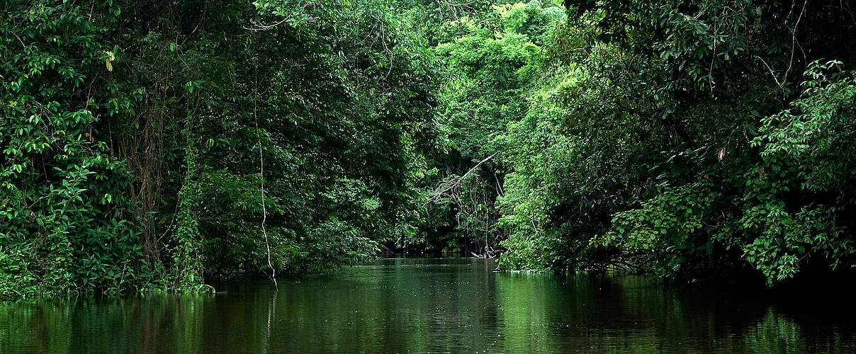 Fluss im Nationalpark © Adriano Gambarini / WWF Brasilien