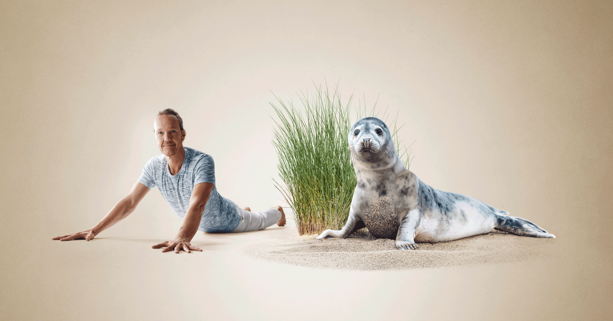 Yoga für Zuhause