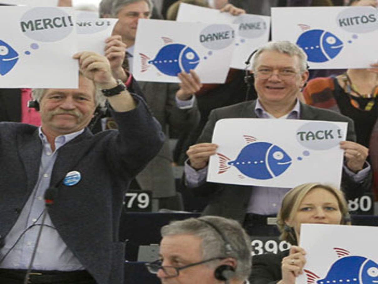 Mit starker Mehrheit von 502 zu 137 Stimmen hat das Parlament heute in Straßburg den Vorschlag des Fischereiausschusses für eine neue EU-Fischereipolitik angenommen. © European Union 2013 / EP