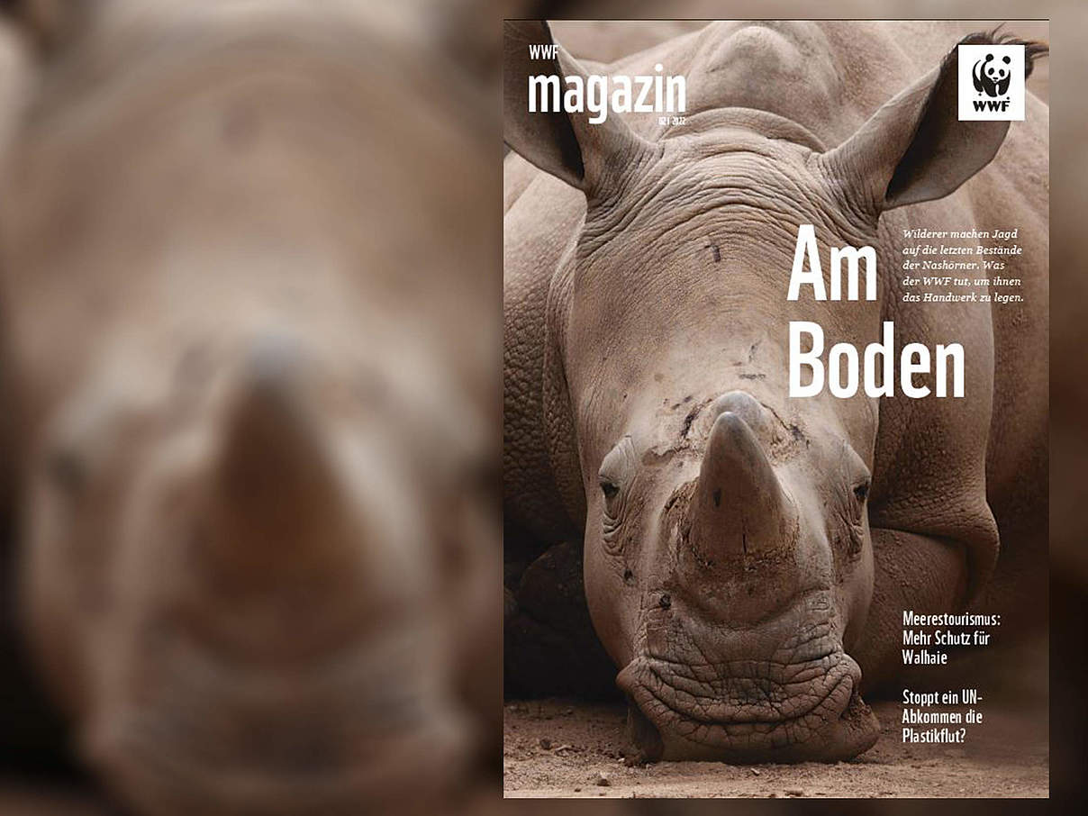 Titel des WWF Magazin 02/2022 © imago / imagebroker