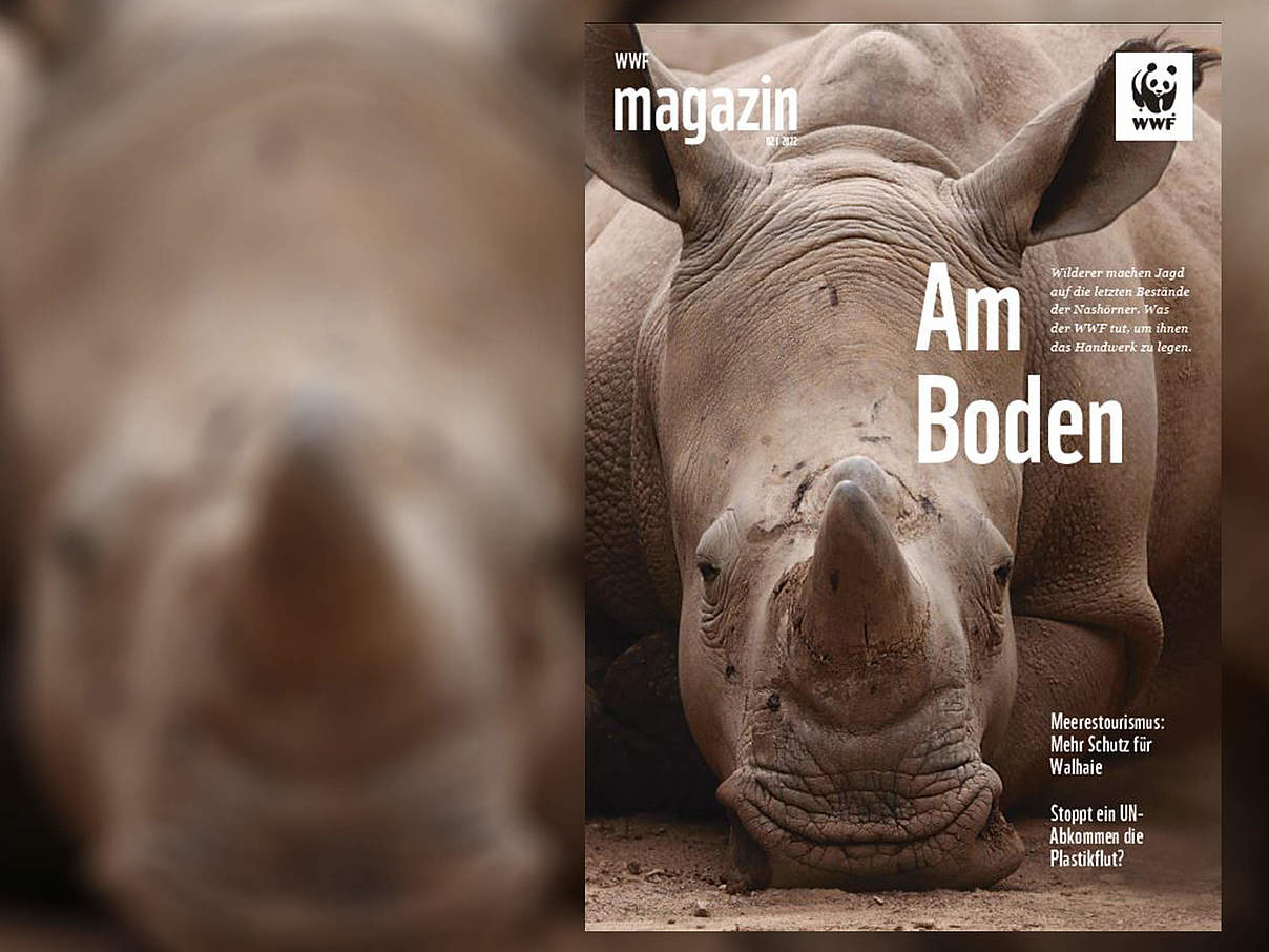 Titel des WWF Magazin 02/2022 © imago / imagebroker