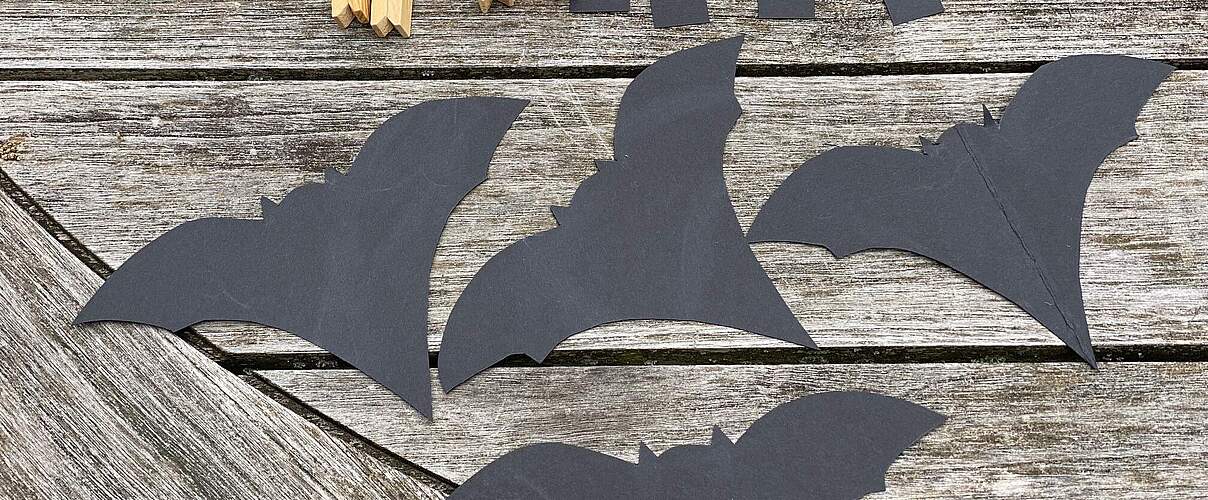 Fledermäuse basteln