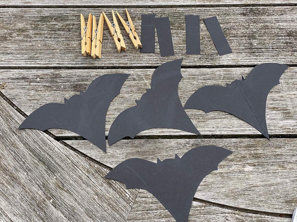 Fledermäuse basteln