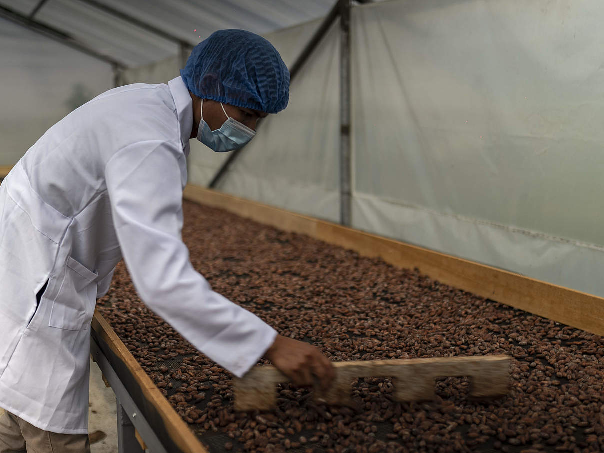 Sicherheit durch nachhaltige Produktion für die Bäuer:innen © Gabriel Vanerio / WWF Ecuador