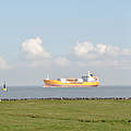 Containerschiff auf der Elbe © Claudia Stocksieker / WWF