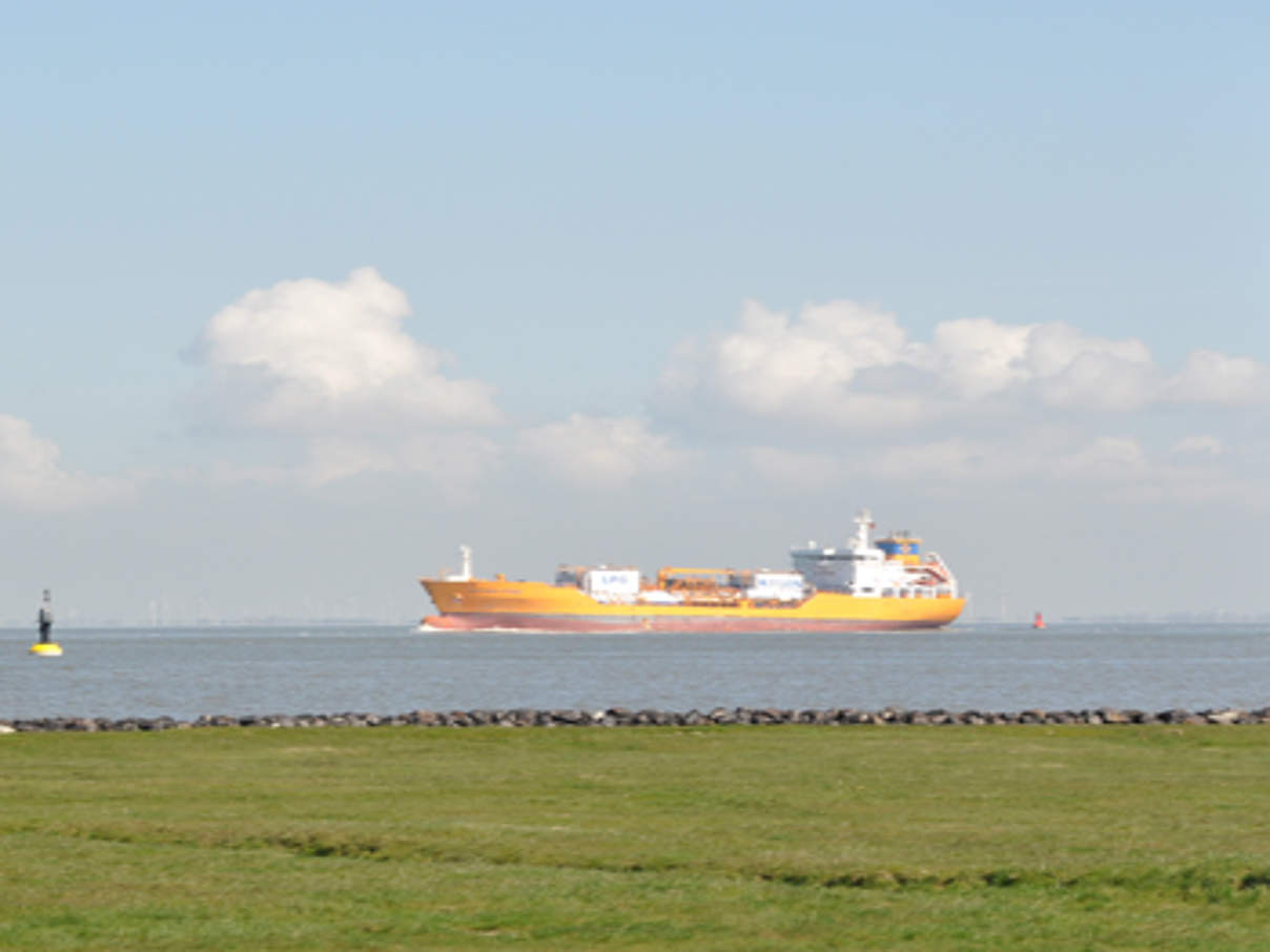 Containerschiff auf der Elbe © Claudia Stocksieker / WWF