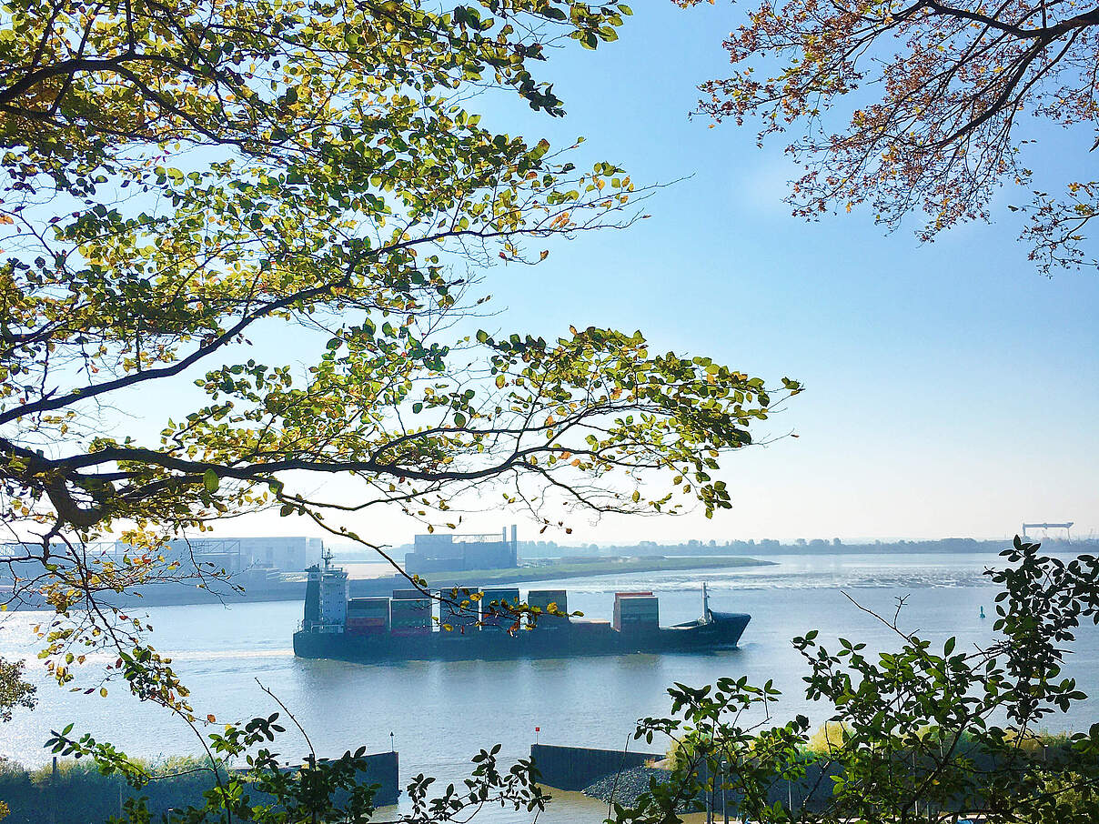 Blick durch die Bäume auf ein Containerschiff in Hamburg 