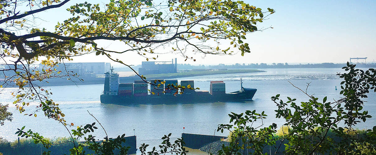 Blick durch die Bäume auf ein Containerschiff in Hamburg 