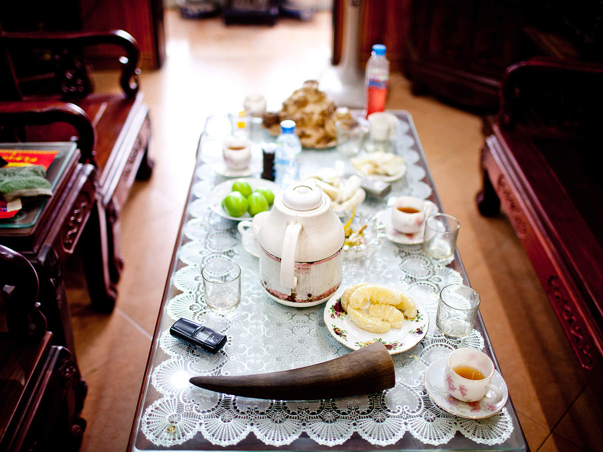 Nashornhorn auf einem Tisch © Robert Patterson / WWF