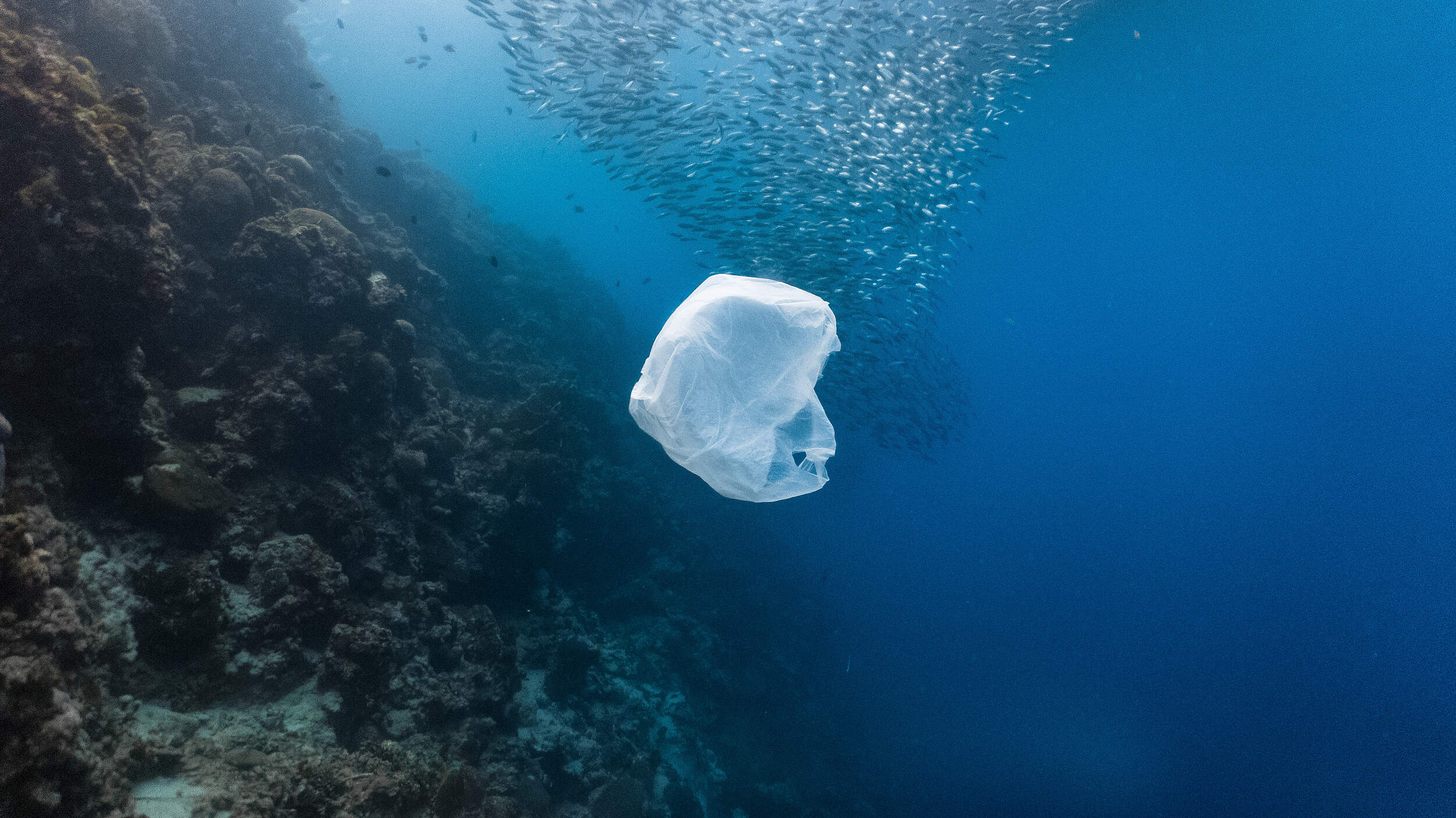 Plastiktüten verschmutzen die Meere © Shutterstock / John Cuyos / WWF