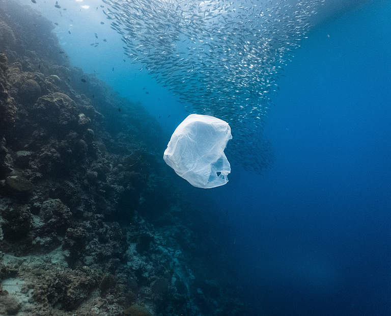 Plastiktüten verschmutzen die Meere © Shutterstock / John Cuyos / WWF