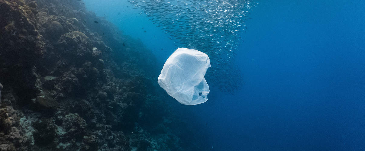 Plastiktüten verschmutzen die Meere © Shutterstock / John Cuyos / WWF