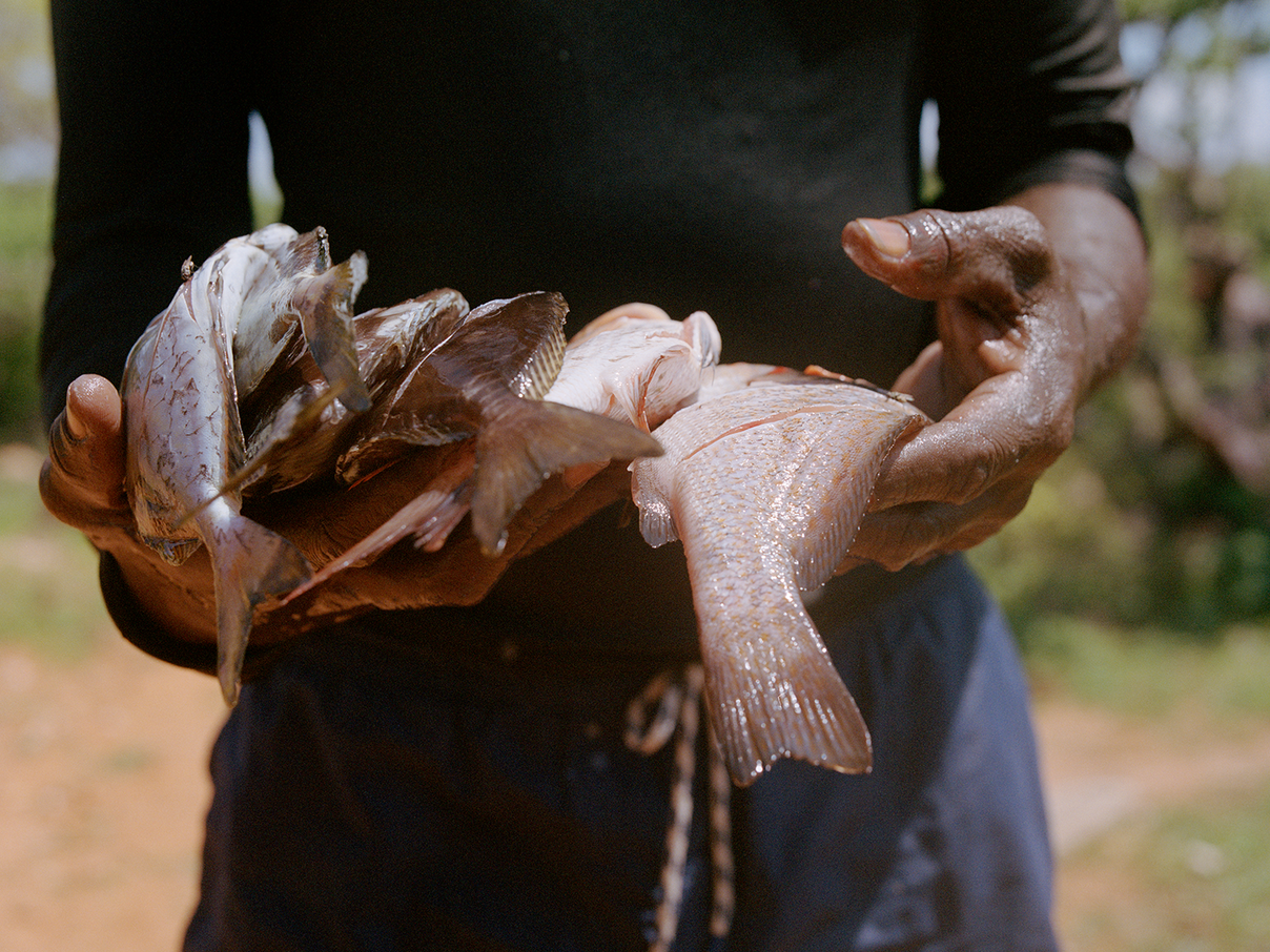 Fische sind Nahrungs- und Einnahmequelle © Kent Andreasen / WWF 