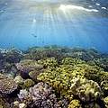 Weltnaturerbe - Great Barrier Reef © Troy Mayne / WWF