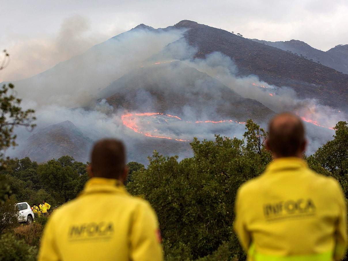 Waldbrände in der Sierra Bermeja, Malaga, Spanien © IMAGO / Agencia EFE