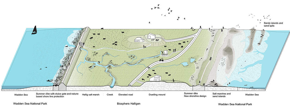 Illustration of a future scenario of a typical Hallig © studio urbane landschaften hamburg