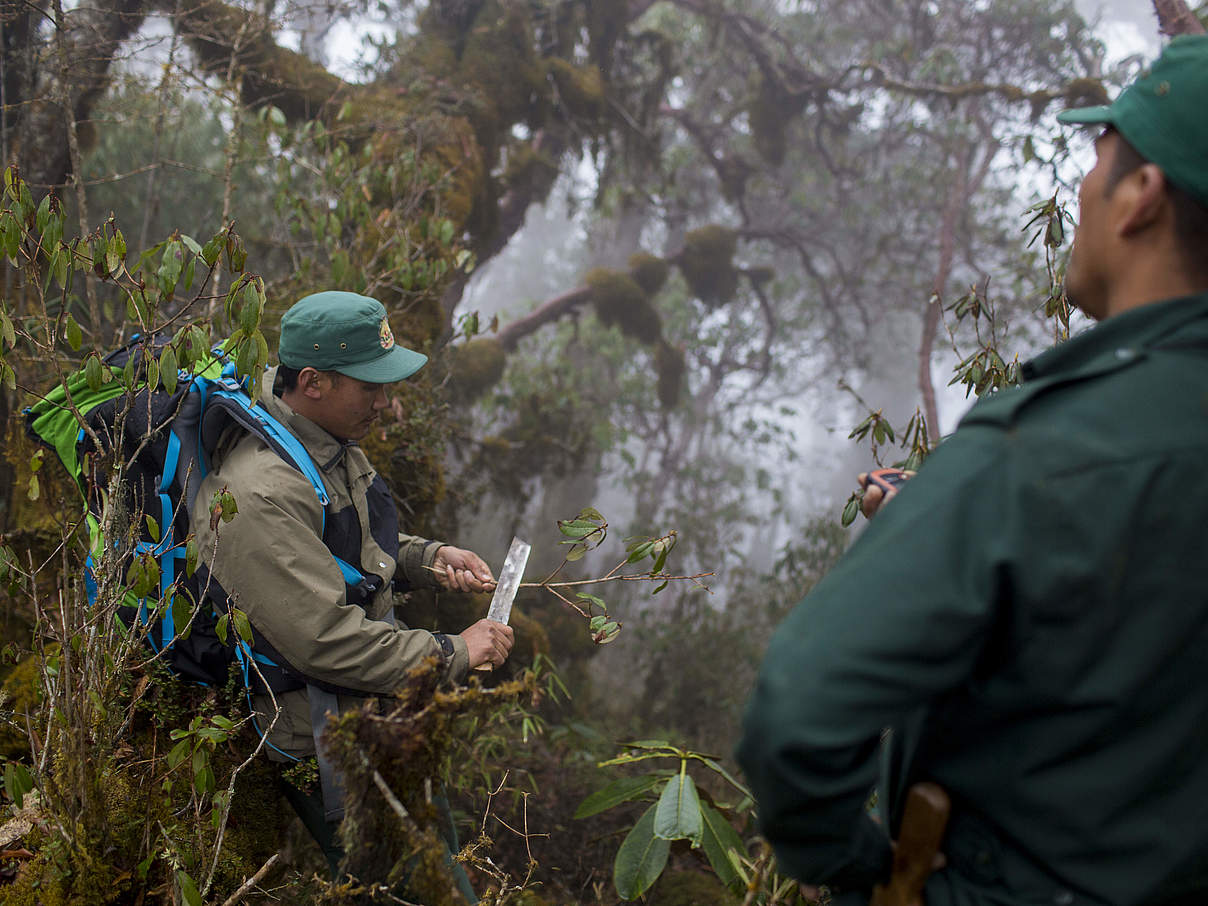 Ranger überwachen einen Wildtierkorridor in Bhutan © Emmanuel Rondeau / WWF UK