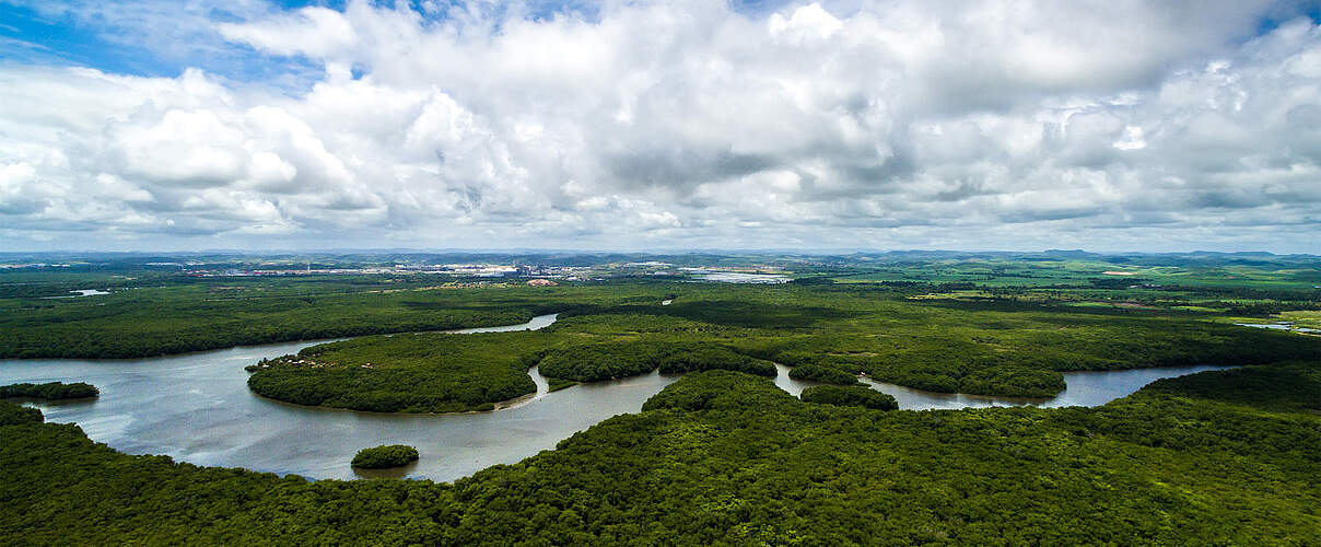 Riesiger Fluss schlängelt sich durch dichten Wald, darüber tolle Wolkenformation