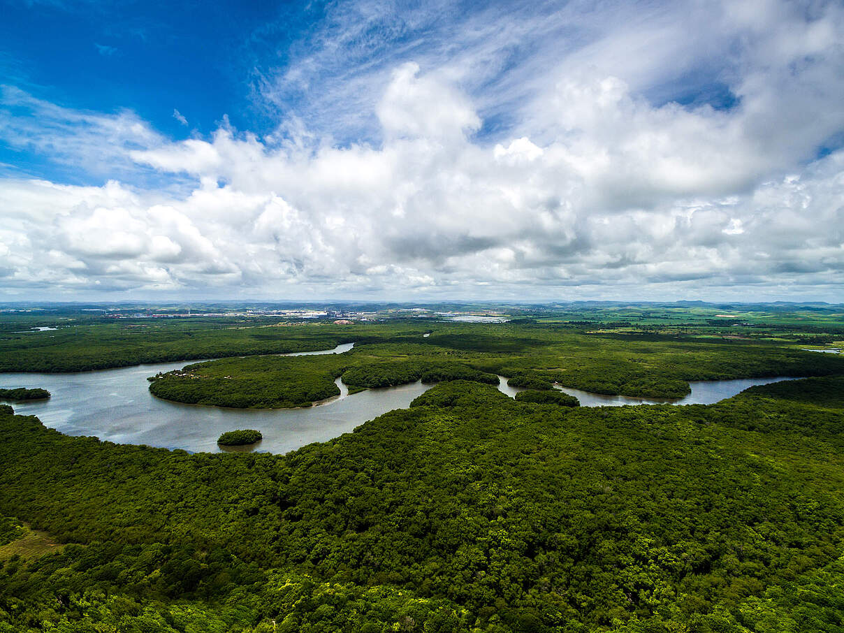 Riesiger Fluss schlängelt sich durch dichten Wald, darüber tolle Wolkenformation