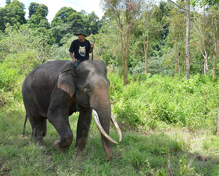 Eine Einheit der Flying Squad Patrol in Sumatra, Indonesien © Femke Hilderink / WWF-Netherlands