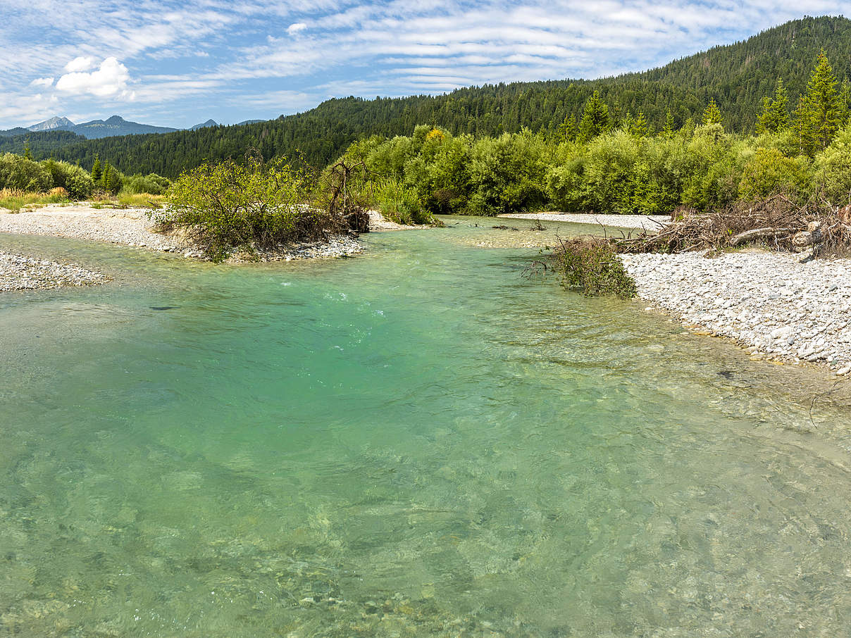 Die Isar in Bayern © filmfoto / iStock / Getty Images plus