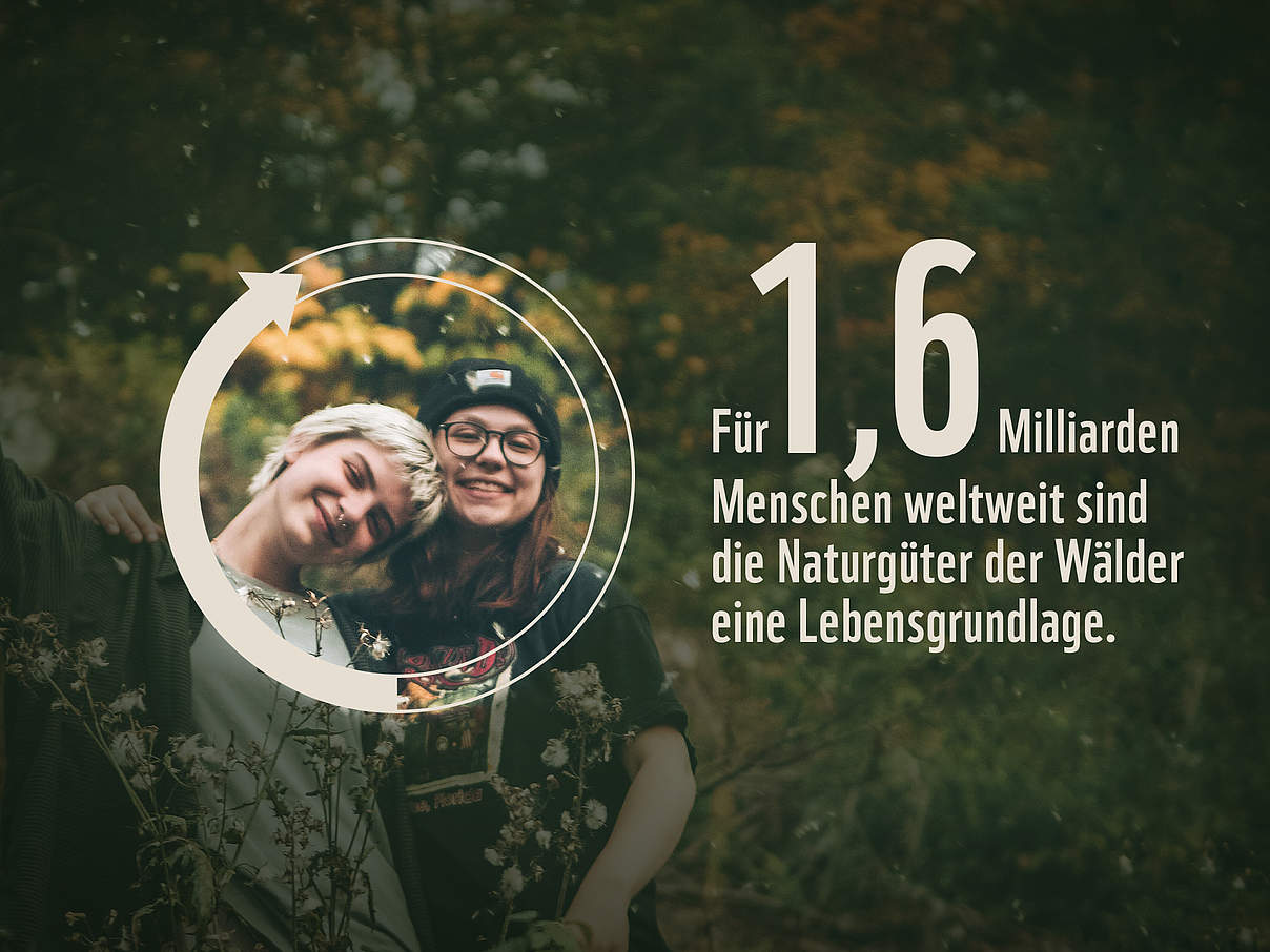 Für 1,6 Milliarden Menschen weltweit sind Wälder eine Lebensgrundlage © Unsplash.com / Shawn