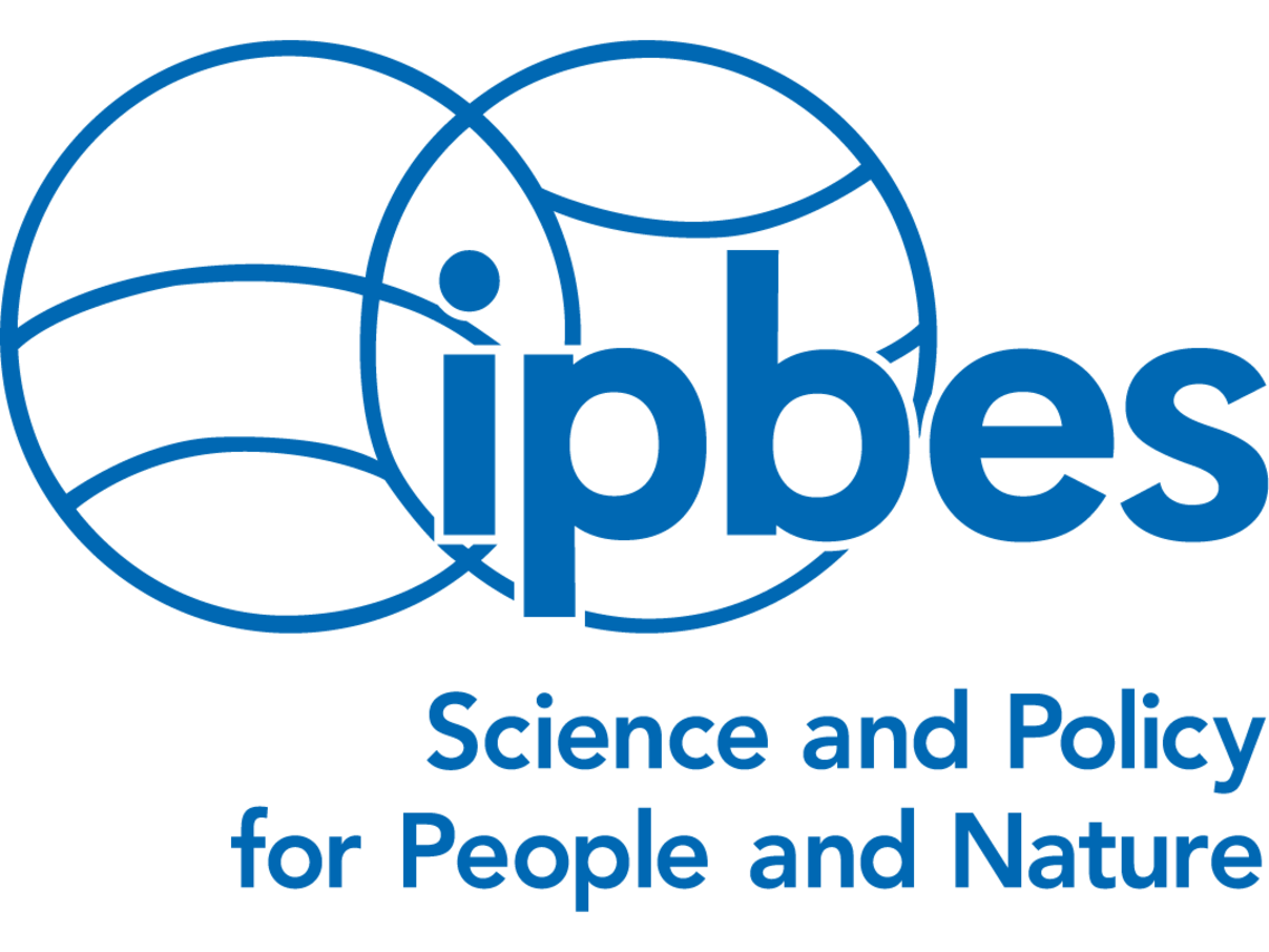 ipbes Logo © ipbes