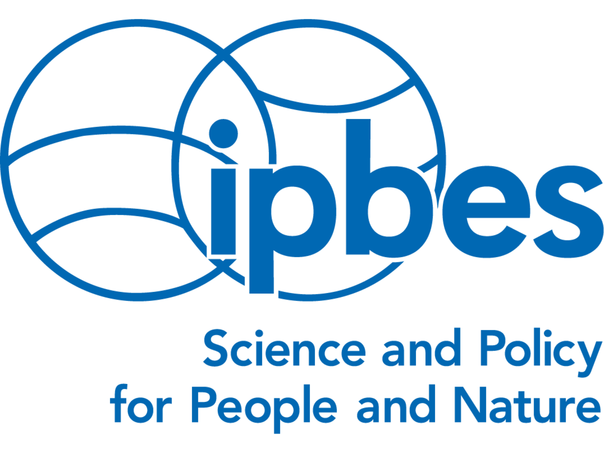 ipbes Logo © ipbes ipbes Logo © ipbes