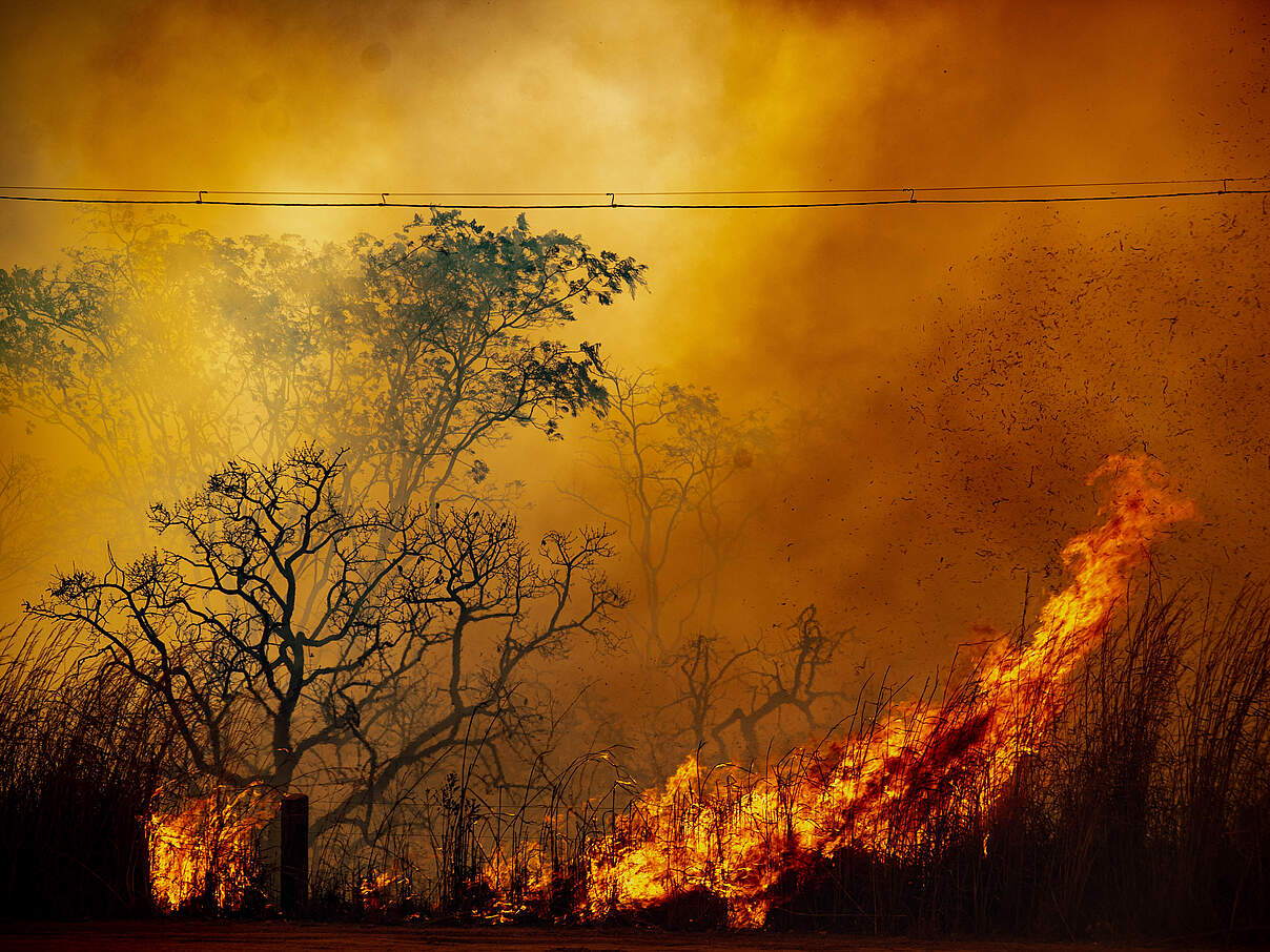 Ein Waldbrand im Brasilia Nationalpark 