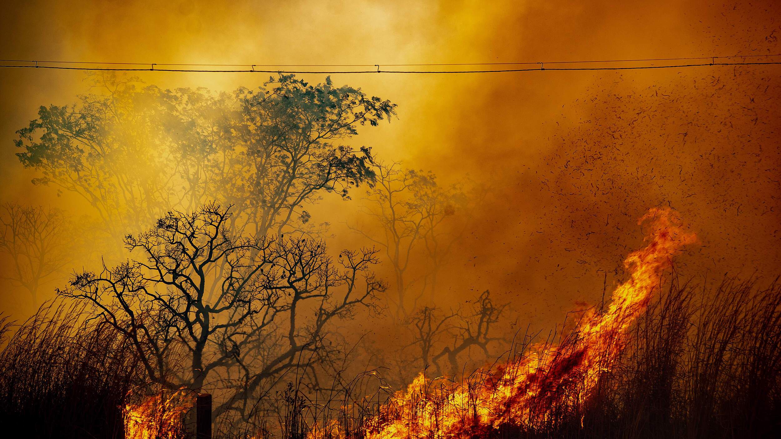 Ein Waldbrand im Brasilia Nationalpark 